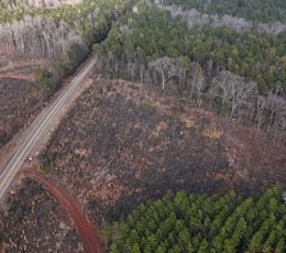 548 DJI 20260205163516 0018 D