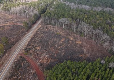 548 DJI 20260205163516 0018 D