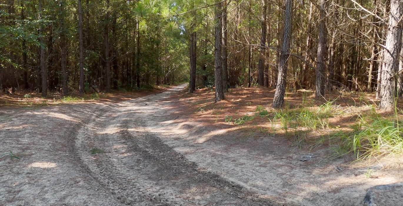 54 AFM Herndon Dairy Tract Photo 15