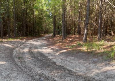 54 AFM Herndon Dairy Tract Photo 15