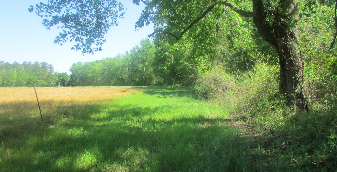 54 IMG 0650