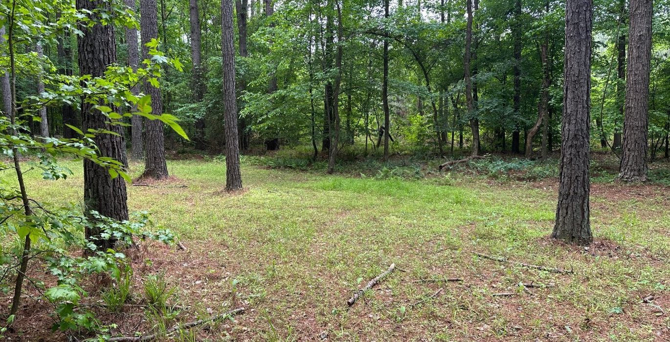 54 IMG 0619