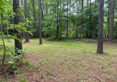 54 IMG 0619