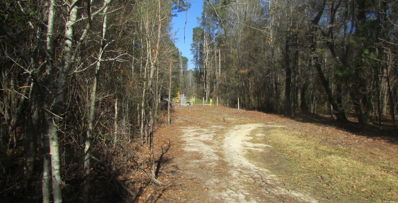550 IMG 0554