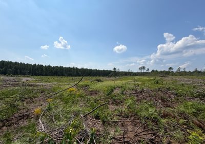 550 IMG 0233