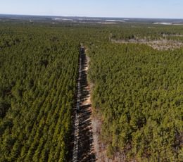551 DJI 20250120123731 0041 D Enhanced NR 1
