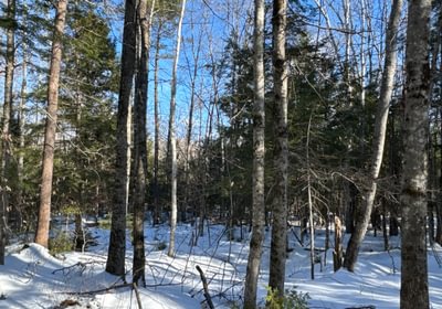 552 IMG 5483