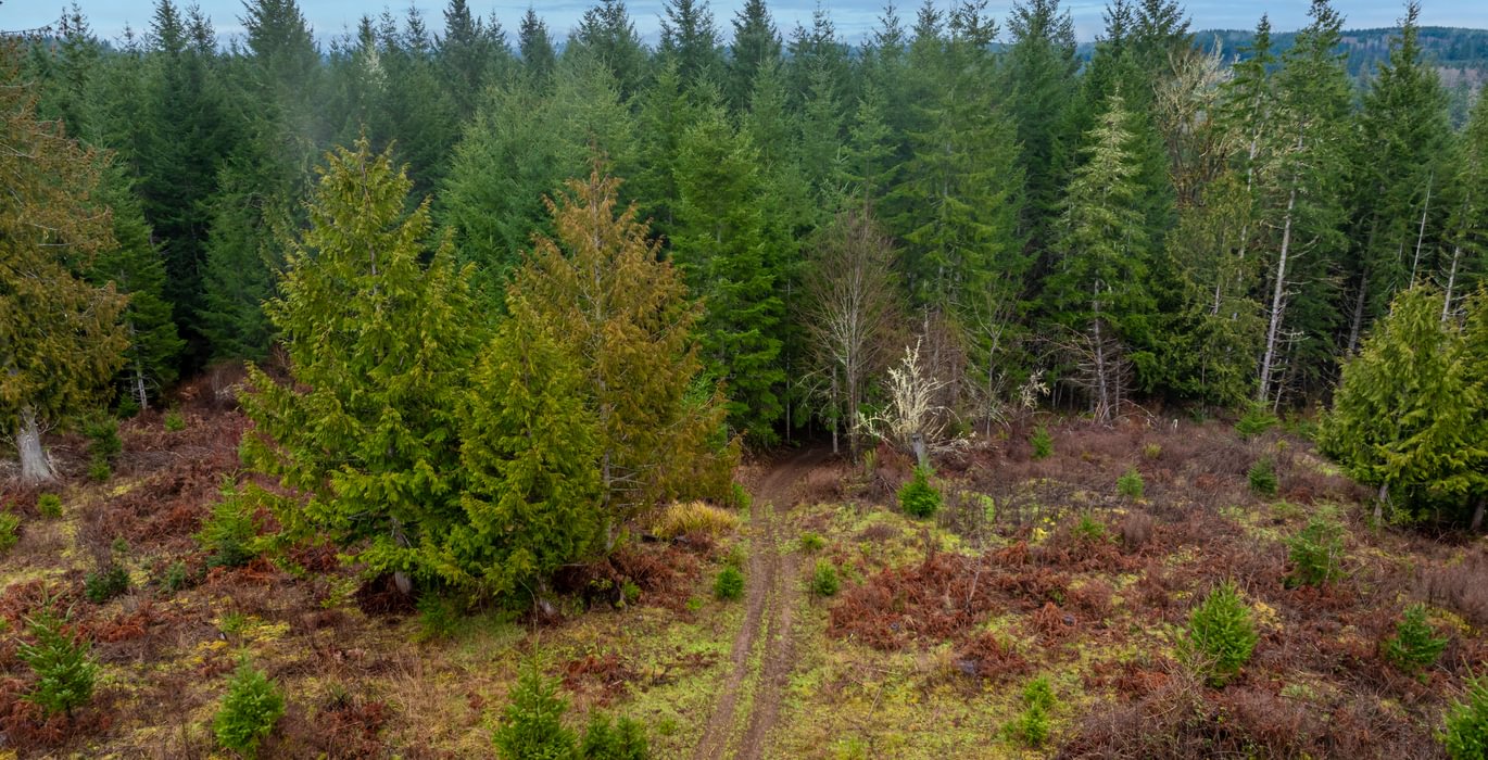 553 DJI 20260222110244 0021 D HLK Edit