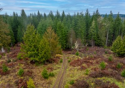 553 DJI 20260222110244 0021 D HLK Edit