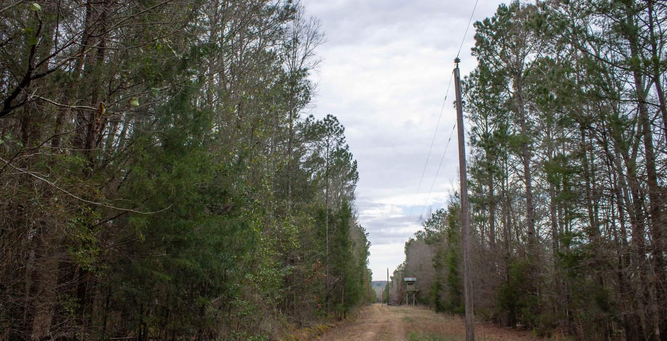 553 FORTLAWN IMG 6815