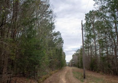 553 FORTLAWN IMG 6815