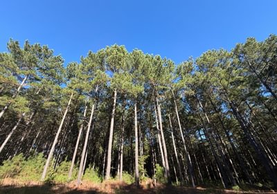553 IMG 0808