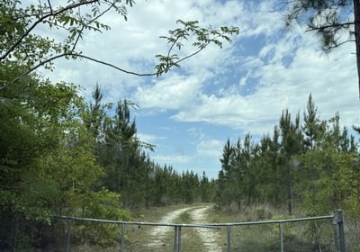 554 IMG 0094