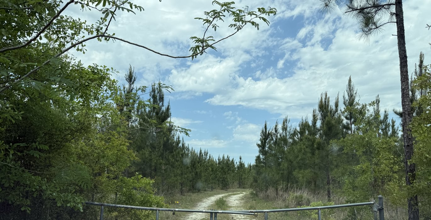 554 IMG 0094