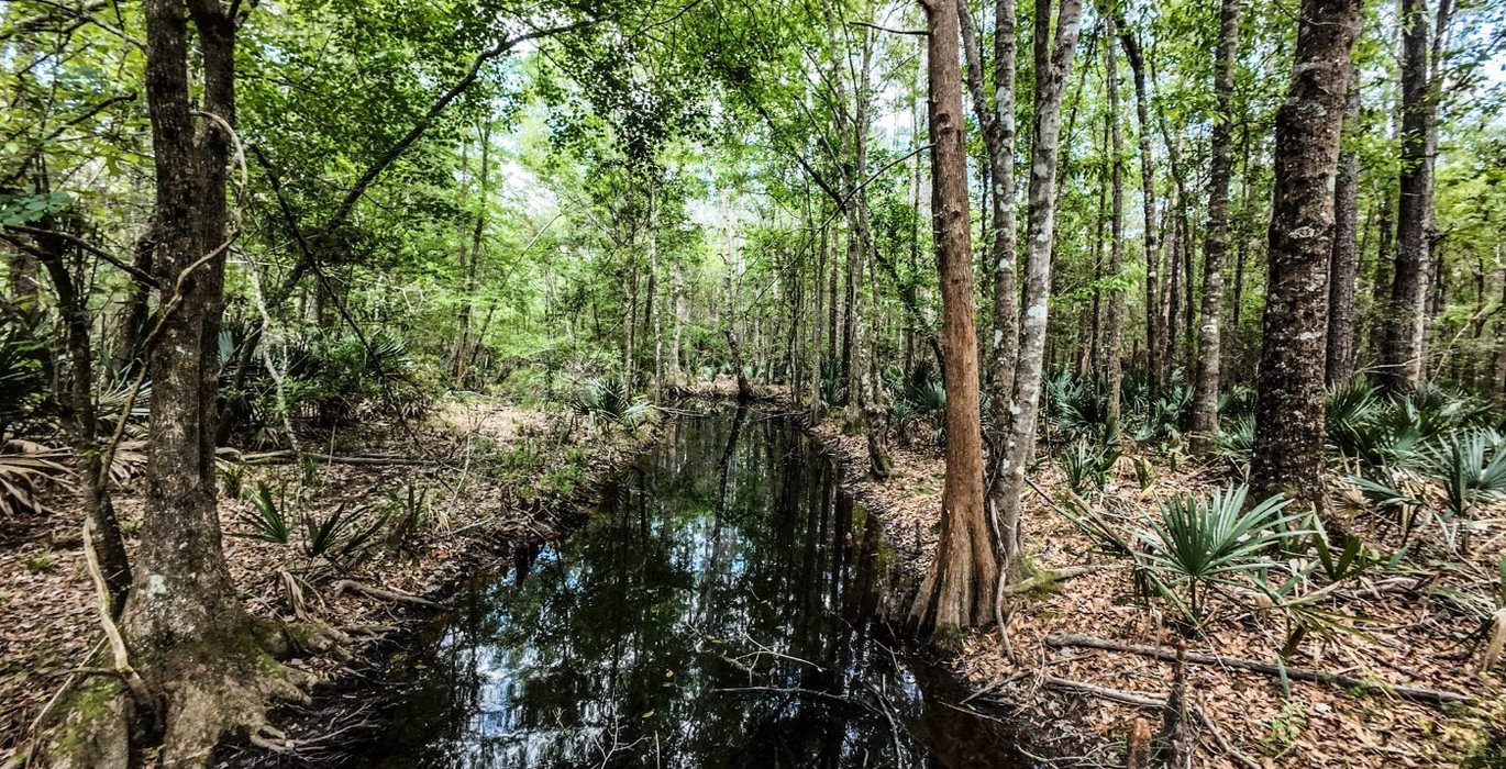 555 DJI 20250516231426 0075 D