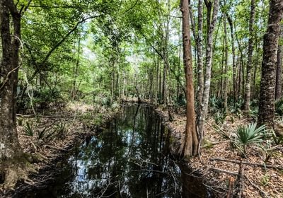 555 DJI 20250516231426 0075 D