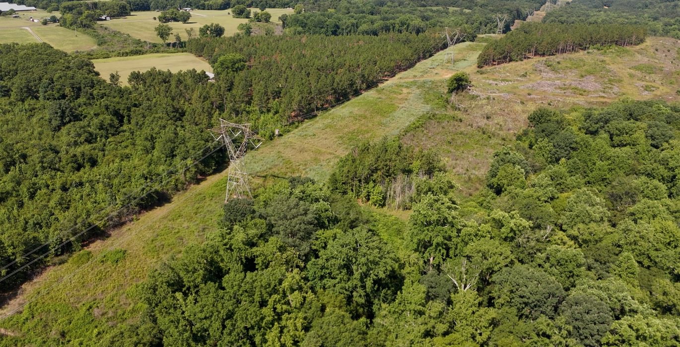 555 Horseshoe Road Photo 5