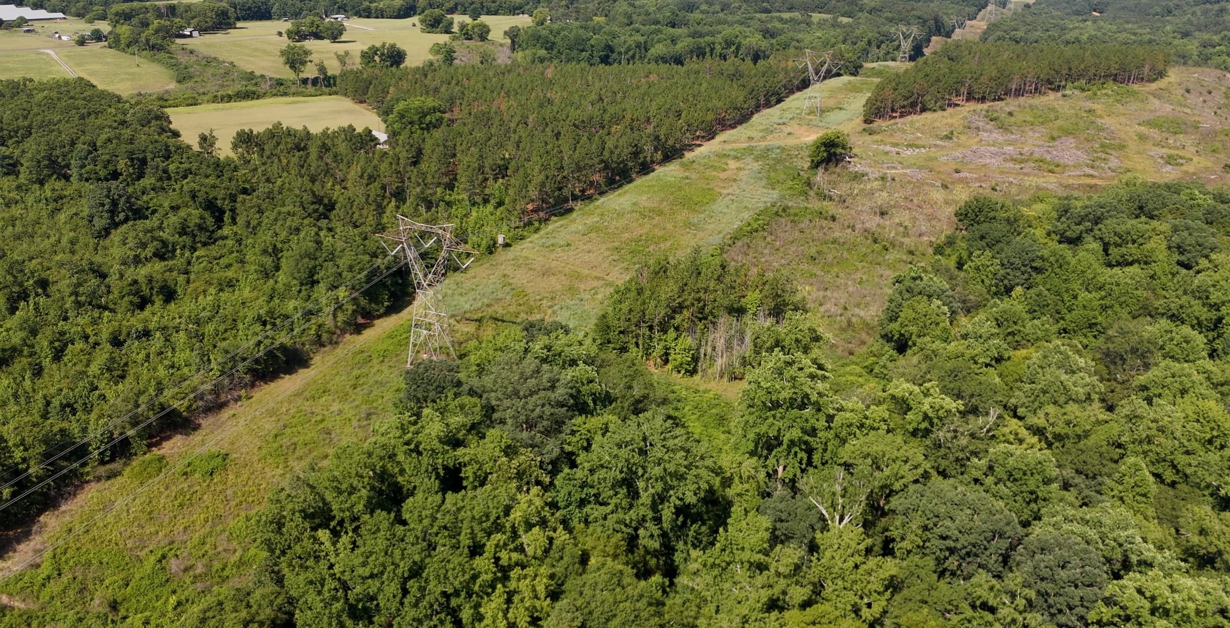 555 Horseshoe Road Photo 5