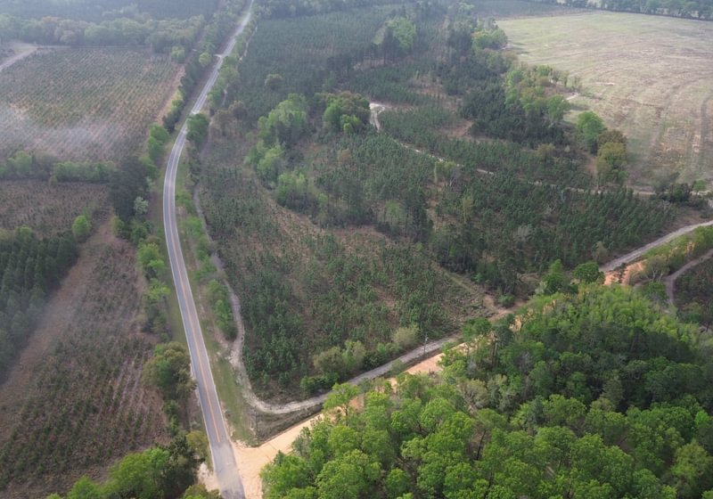 Photo 2 of Old Poor Robin Tract 1, 24.6 acres, Screven County, Georgia