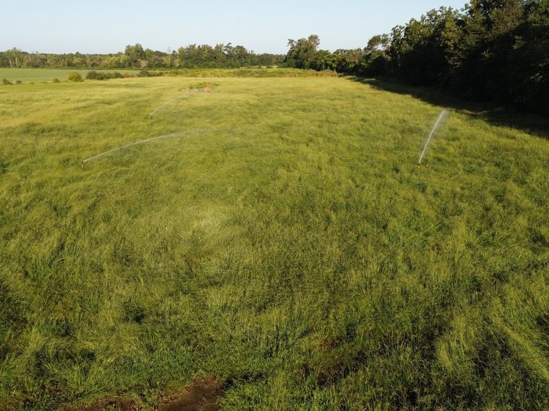 557 DJI 0165