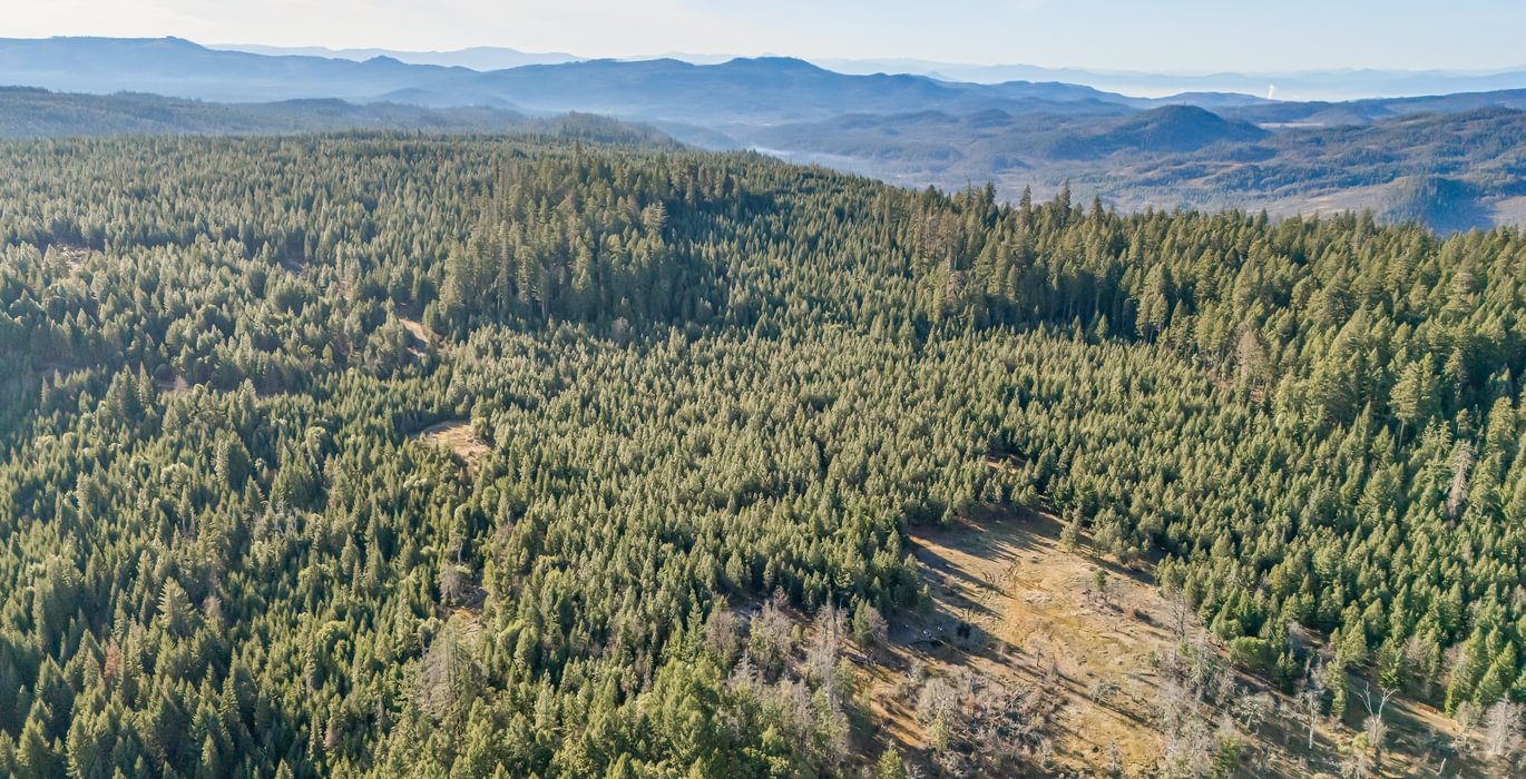 557 DJI 20260203100101 0061 D