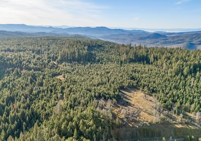 557 DJI 20260203100101 0061 D