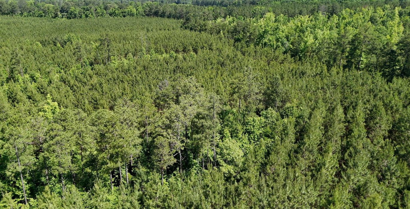 557 Horton Tract Photo 14