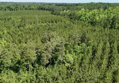 557 Horton Tract Photo 14