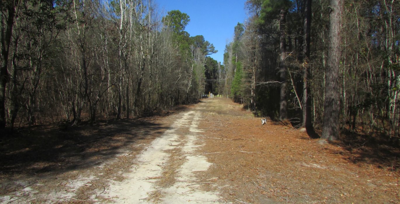 557 IMG 0564