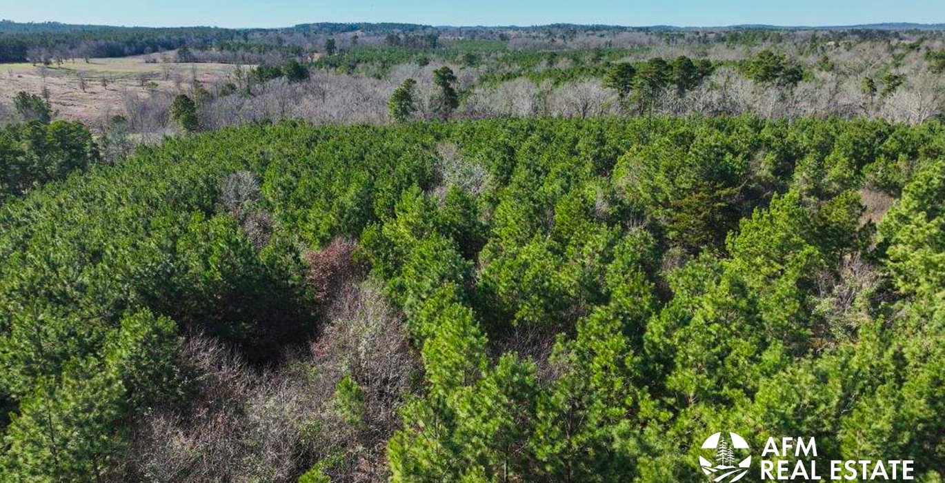 558 DJI 20250201142926 0027 V