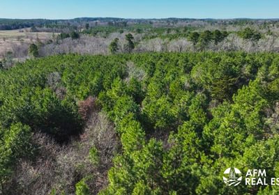 558 DJI 20250201142926 0027 V