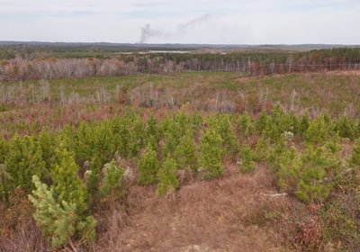 559 AFM Crump Farm Photo 19