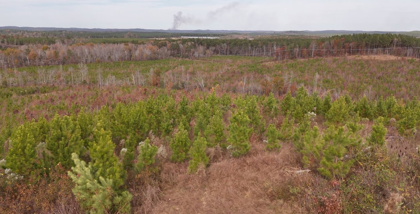 559 AFM Crump Farm Photo 19