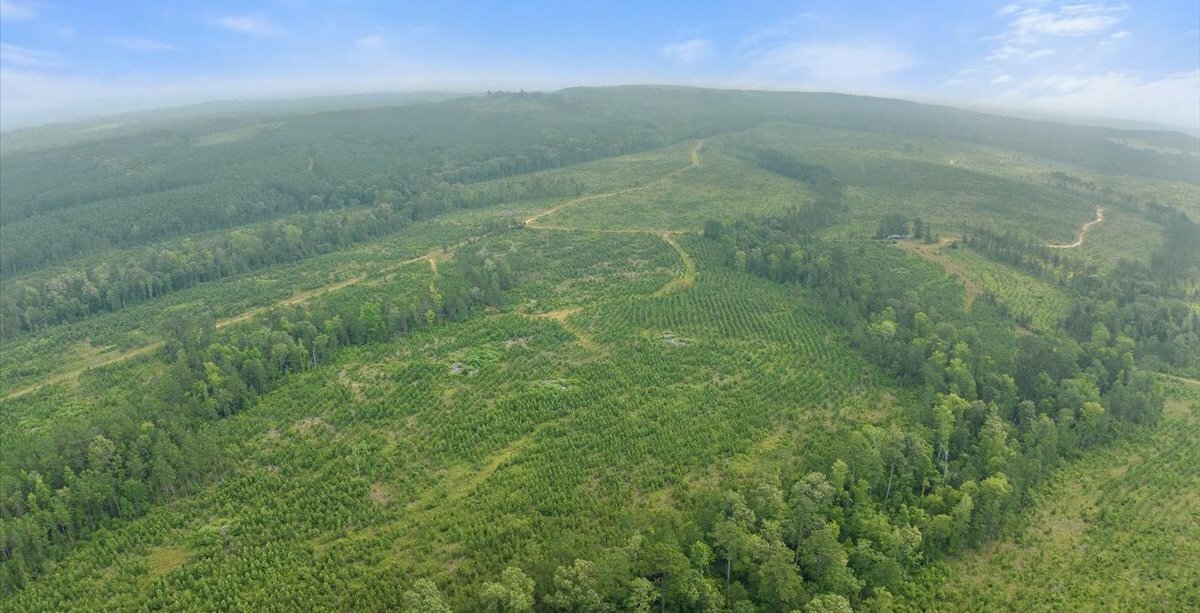 Photo 15 of L Jordan, 574 acres, Cherokee County, Texas