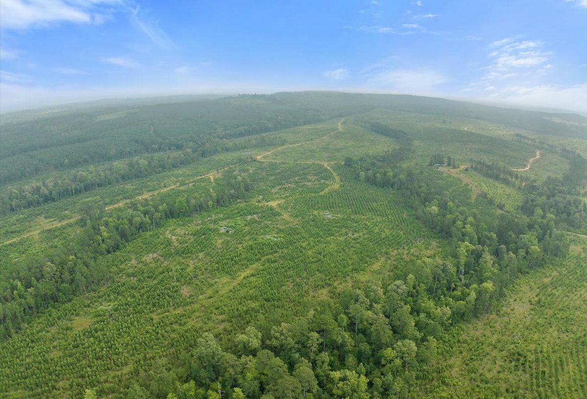 Photo 15 of L Jordan, 574 acres, Cherokee County, Texas