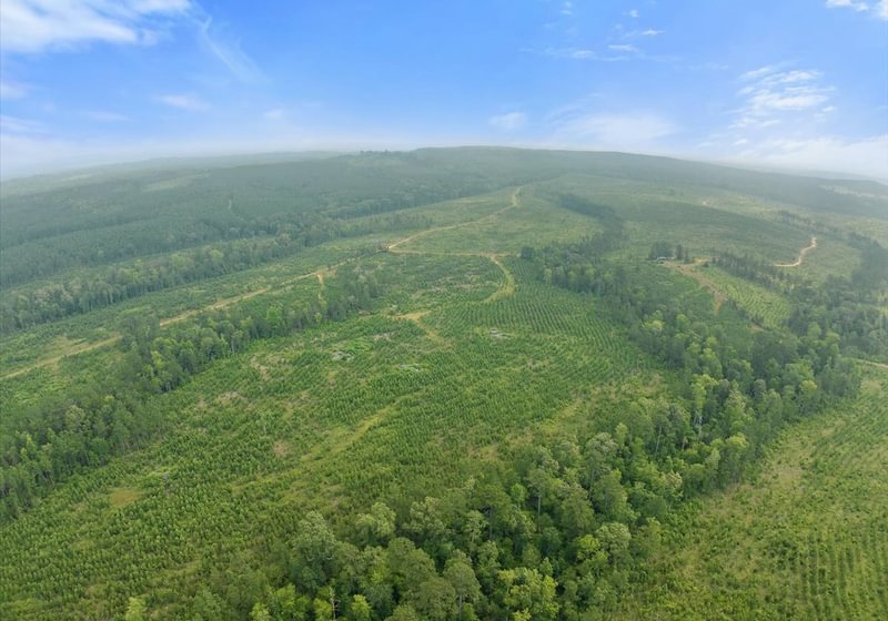 Photo 15 of L Jordan, 574 acres, Cherokee County, Texas