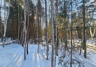 560 10 Lot off Woods Road