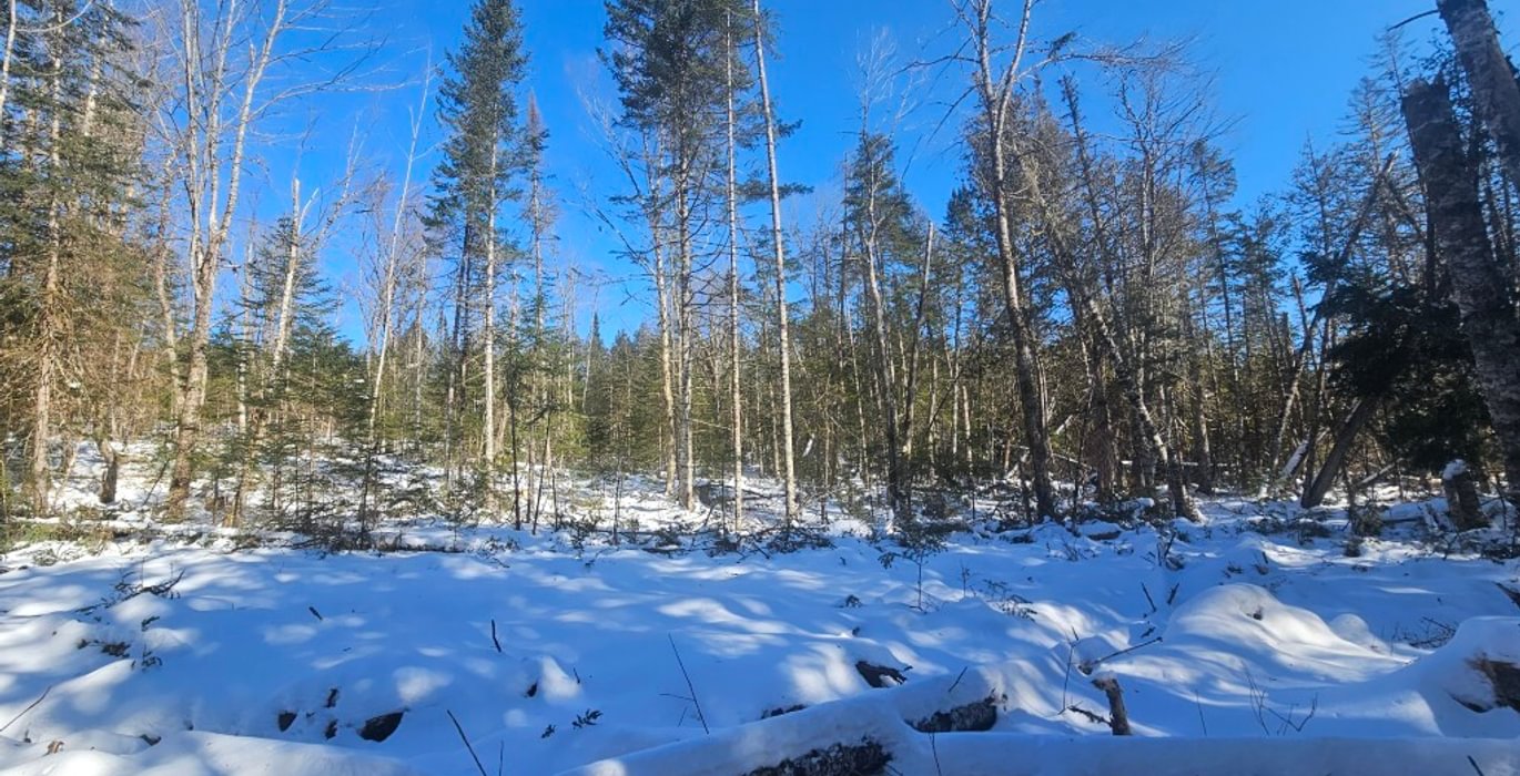 560 20 North Lot