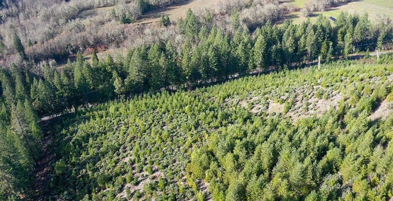 560 Photo Dec 04 2025 10 11 21 PM 7