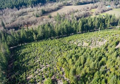 560 Photo Dec 04 2025 10 11 21 PM 7