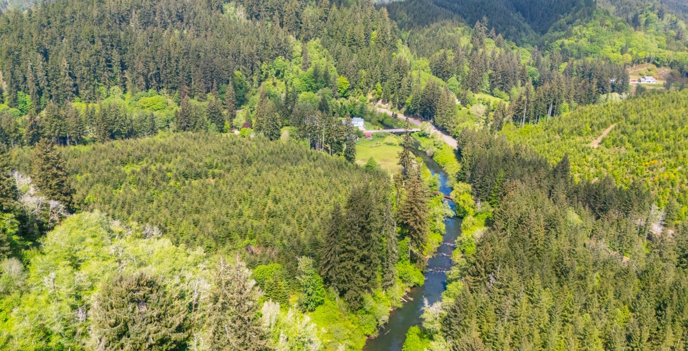 560 River 4