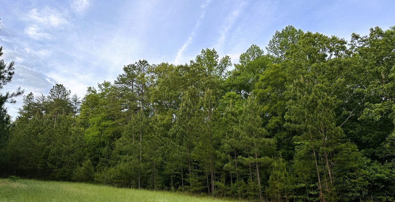 561 IMG 10391