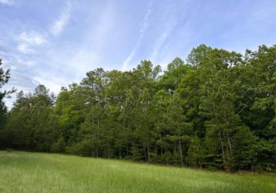 561 IMG 10391