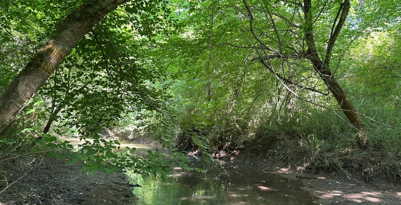 562 IMG 1228