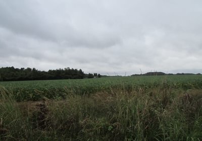 563 IMG 1159