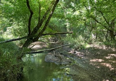 563 IMG 1235