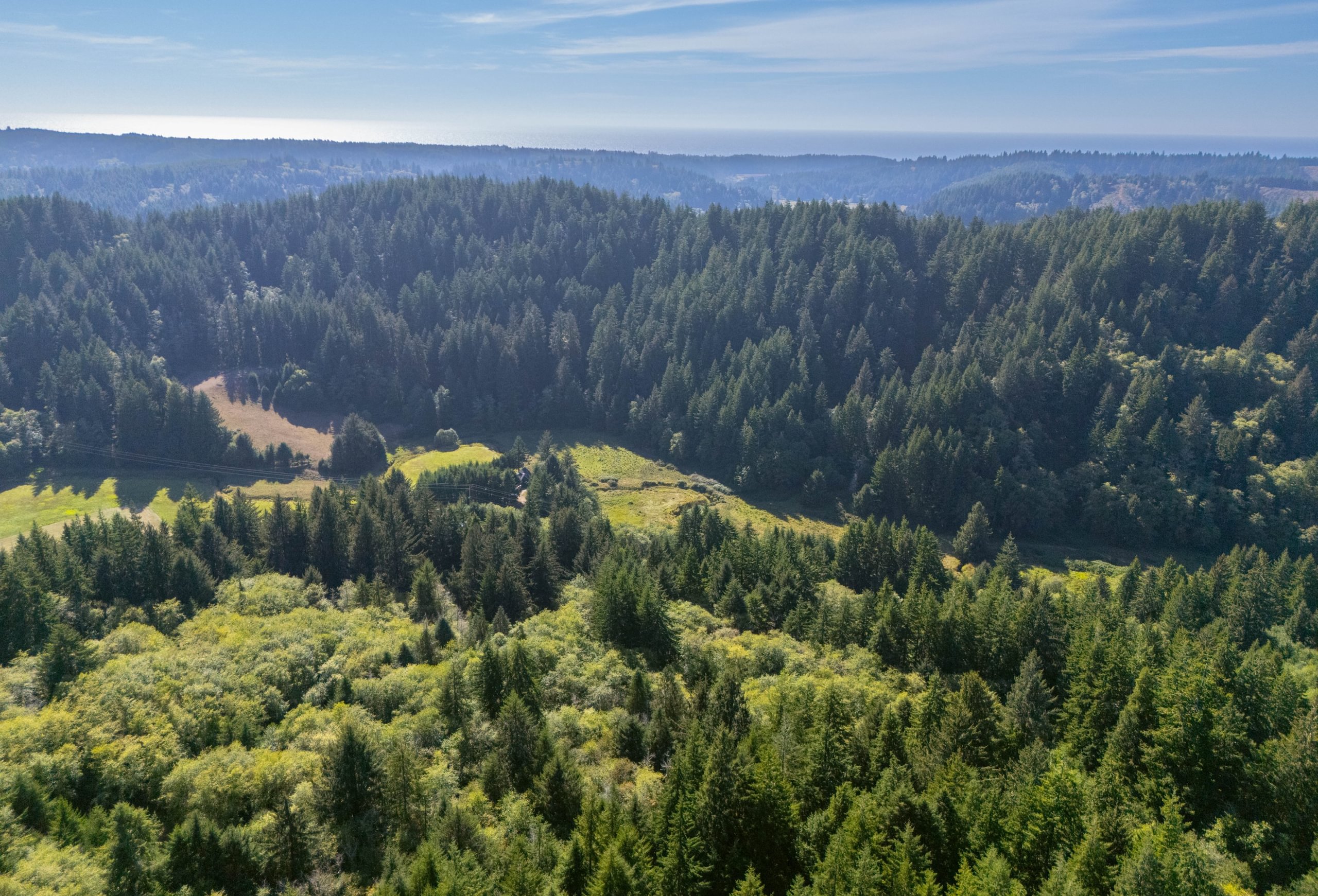 Photo 23 of Sitka Woodland, 35.37 acres, Lincoln County, Oregon