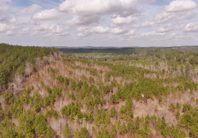 564 AFM Harrisville 68 Photo 11