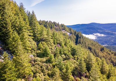 564 DJI 0785 HDR25