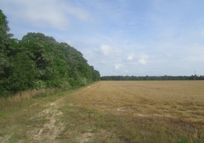 564 IMG 0712